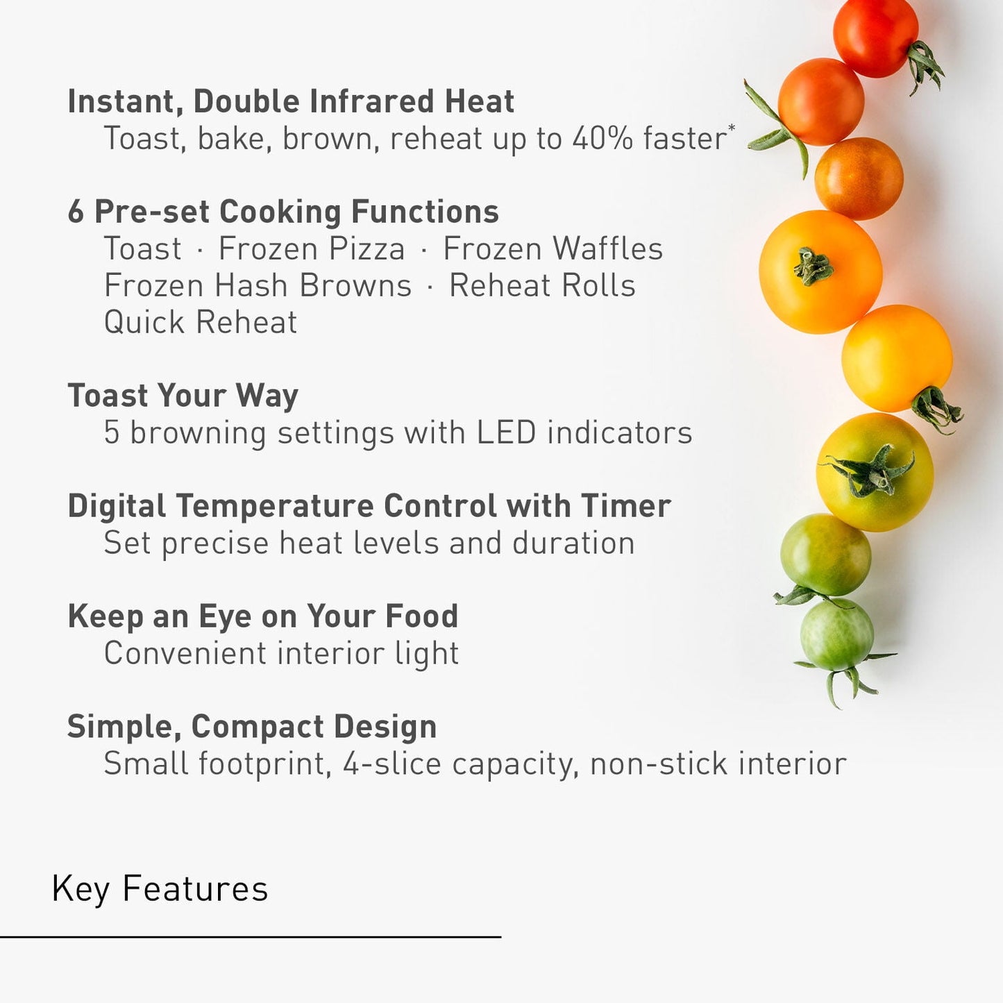 Panasonic FlashXpress Silver Toaster Oven in Silver