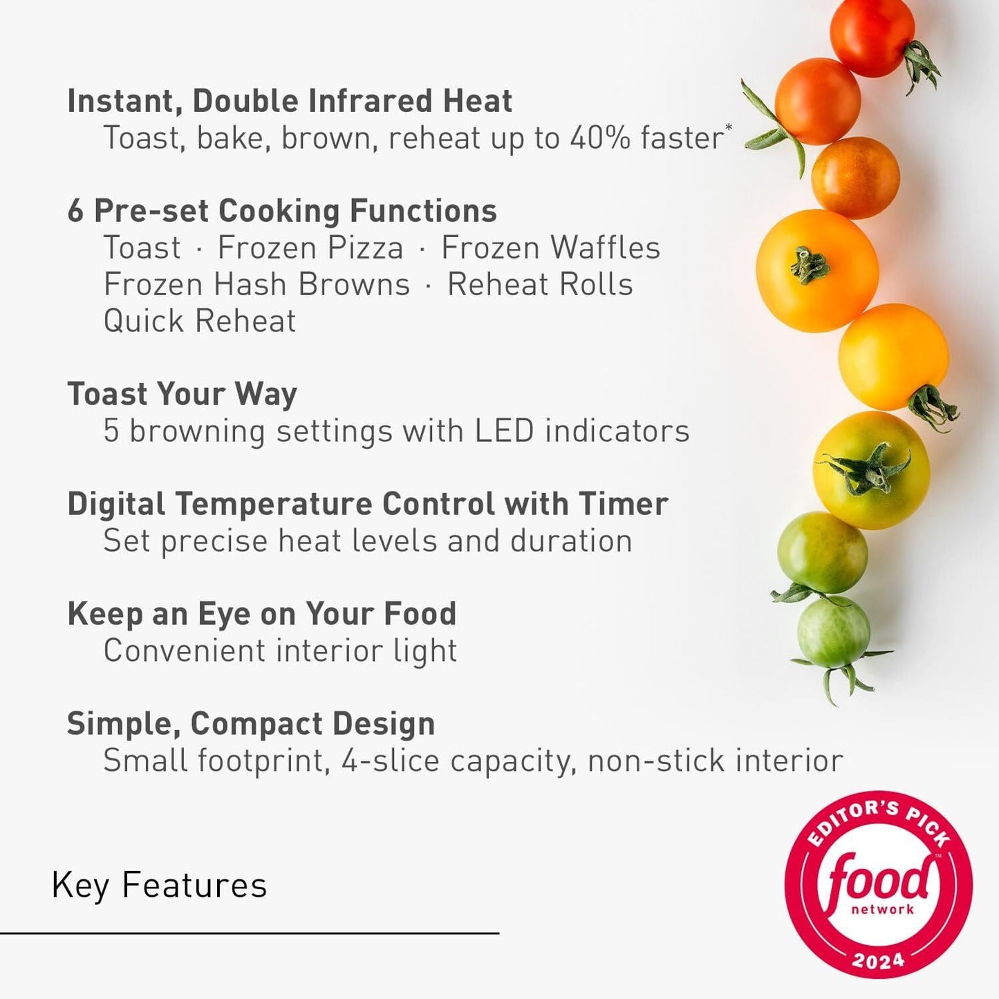 Panasonic FlashXpress Silver Toaster Oven in Silver
